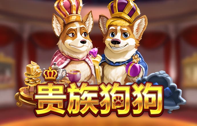 13ky:app-www:13ky:app